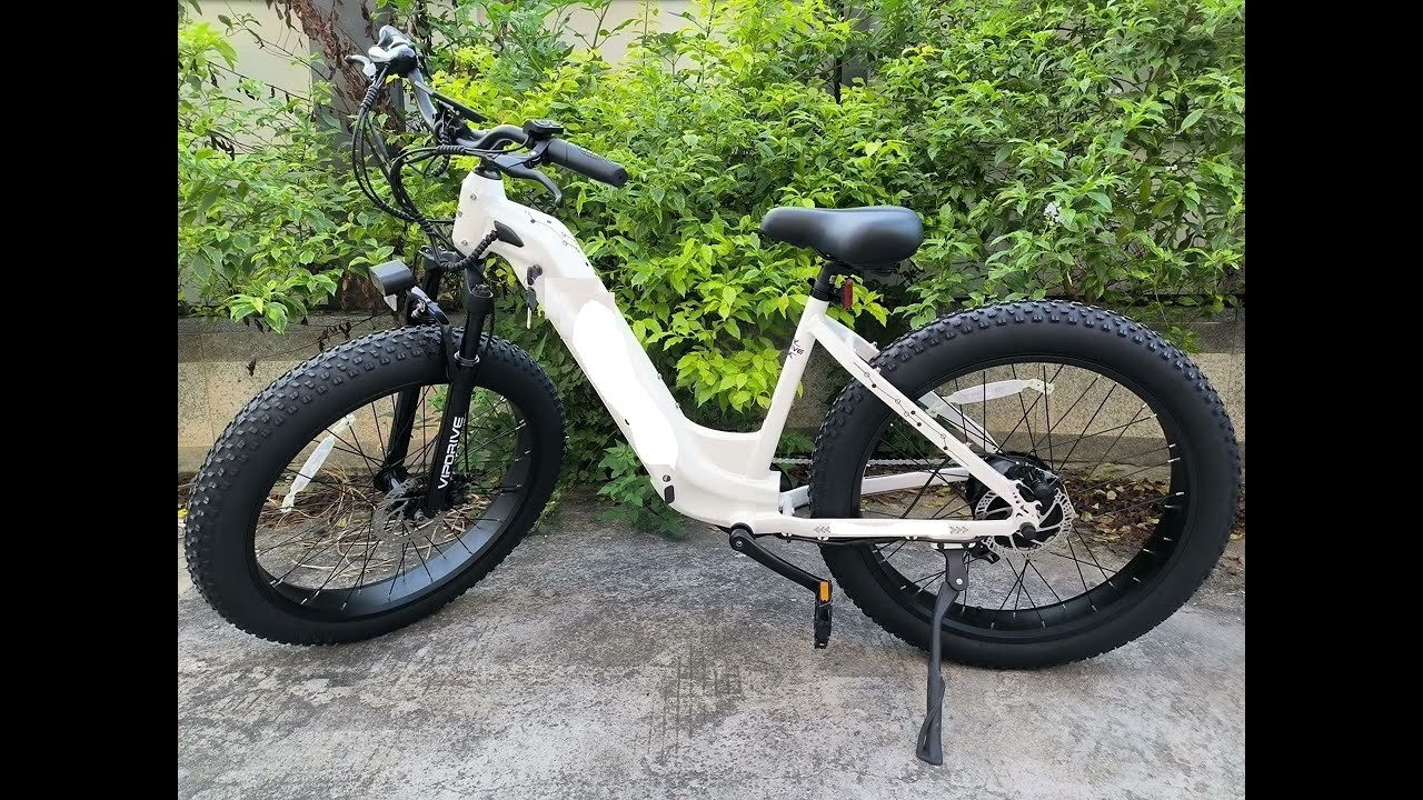 Samsung Electric Cycle